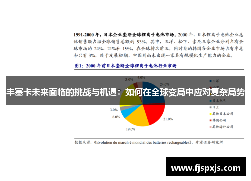 丰塞卡未来面临的挑战与机遇：如何在全球变局中应对复杂局势