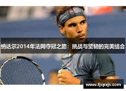 纳达尔2014年法网夺冠之路：挑战与坚韧的完美结合