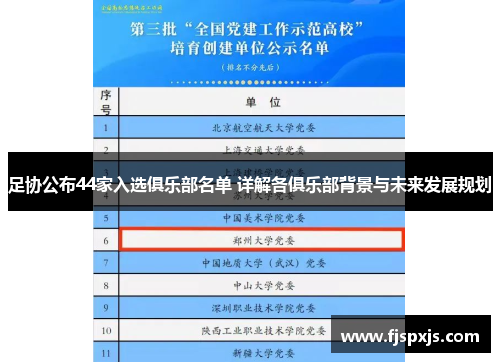 足协公布44家入选俱乐部名单 详解各俱乐部背景与未来发展规划