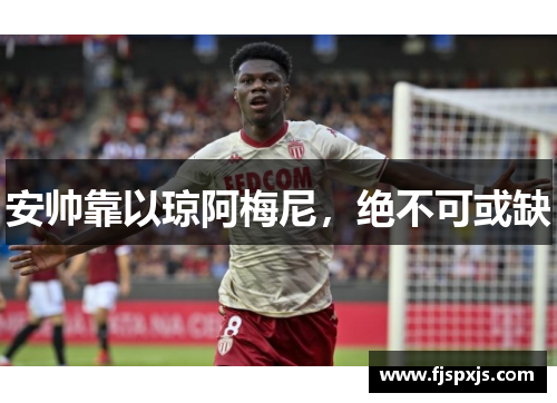 安帅靠以琼阿梅尼，绝不可或缺